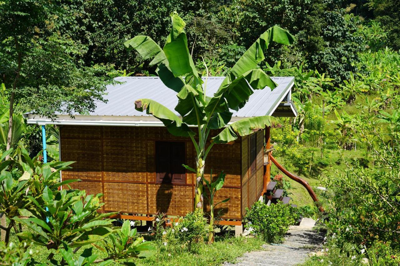 True Nature Chiang Mai - Yoga & Meditation Homestay Retreat Extérieur photo
