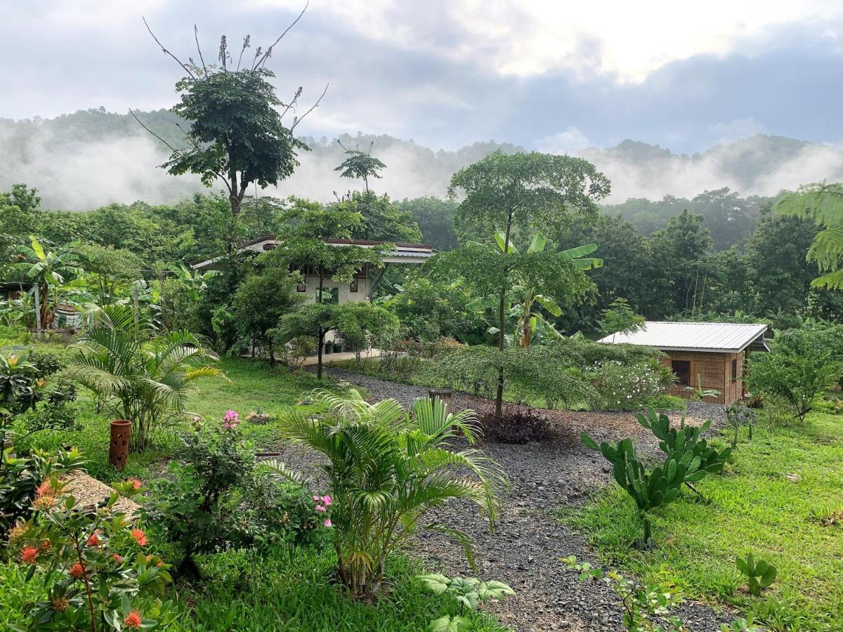 True Nature Chiang Mai - Yoga & Meditation Homestay Retreat Extérieur photo