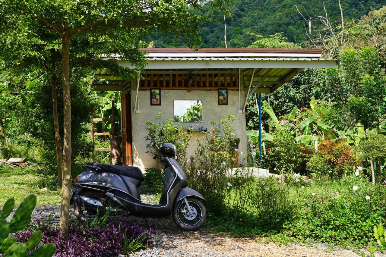 True Nature Chiang Mai - Yoga & Meditation Homestay Retreat Extérieur photo