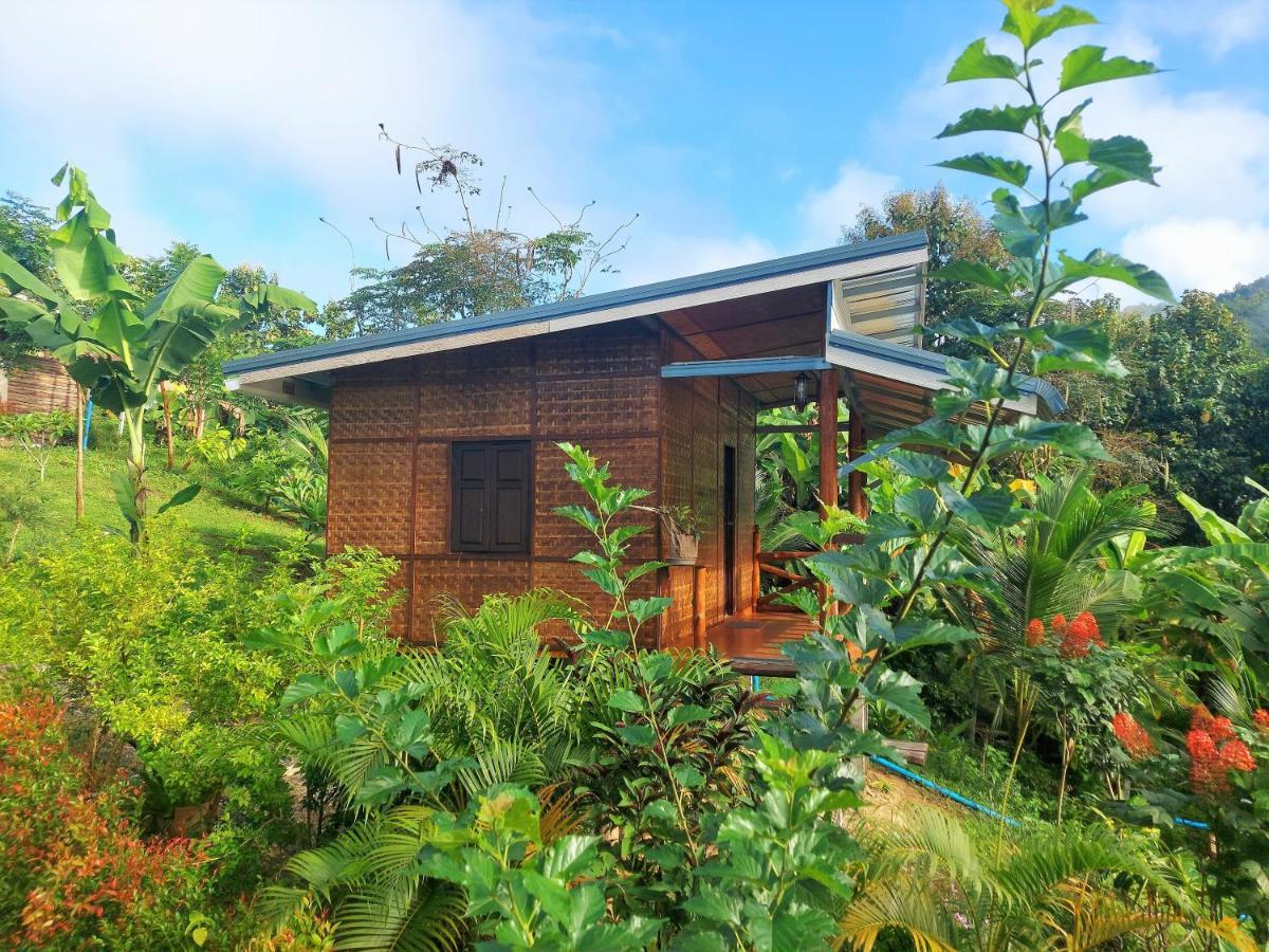 True Nature Chiang Mai - Yoga & Meditation Homestay Retreat Extérieur photo