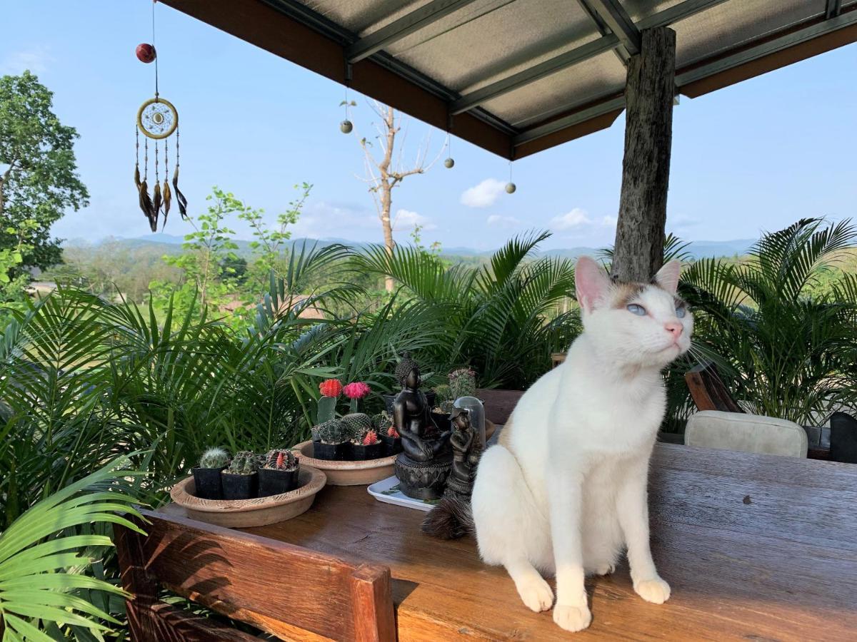 True Nature Chiang Mai - Yoga & Meditation Homestay Retreat Extérieur photo