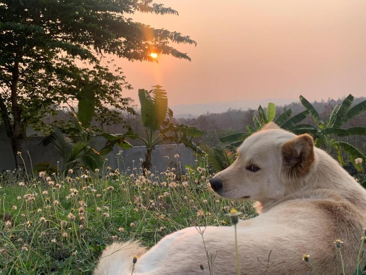 True Nature Chiang Mai - Yoga & Meditation Homestay Retreat Extérieur photo