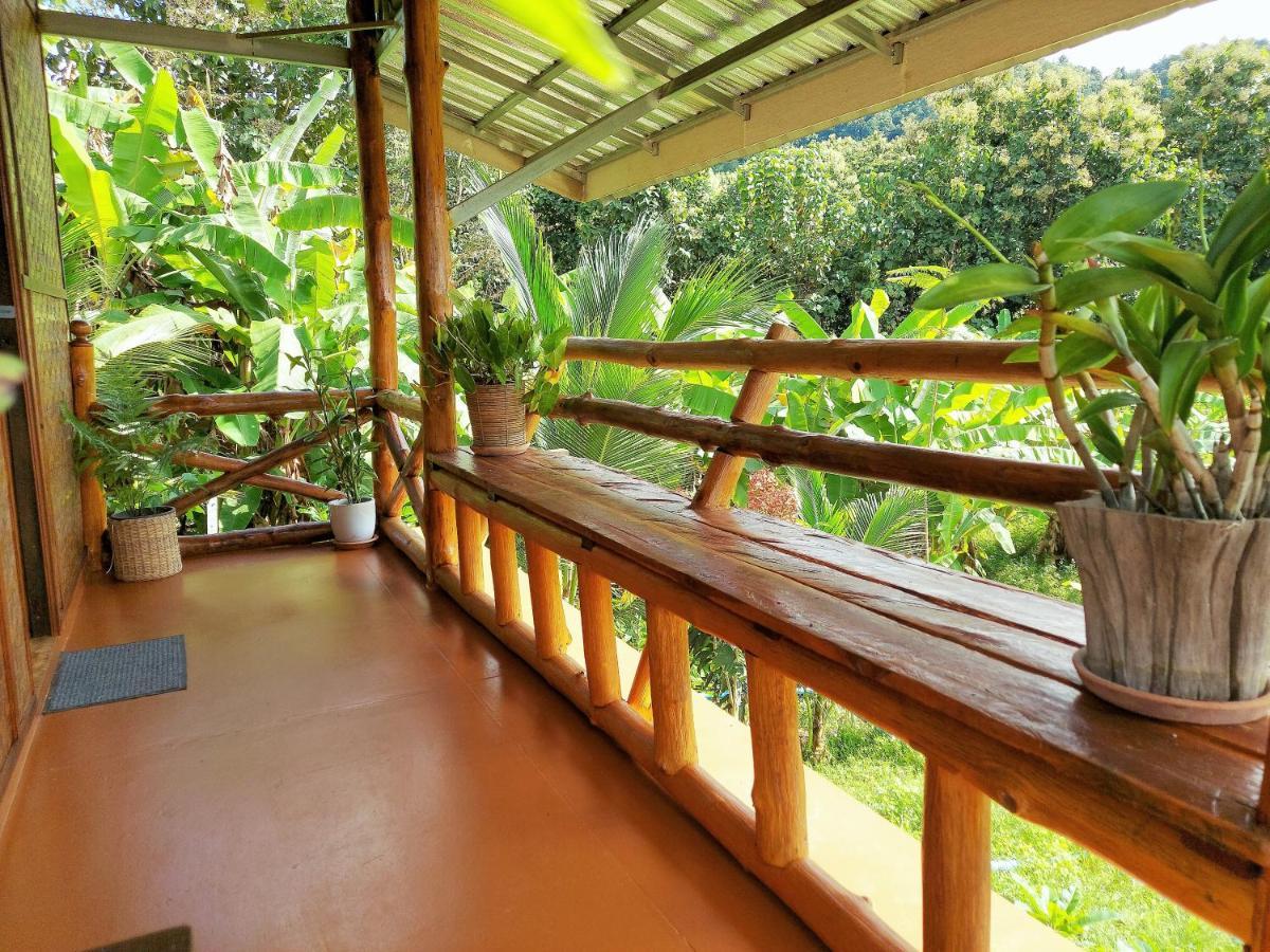 True Nature Chiang Mai - Yoga & Meditation Homestay Retreat Extérieur photo
