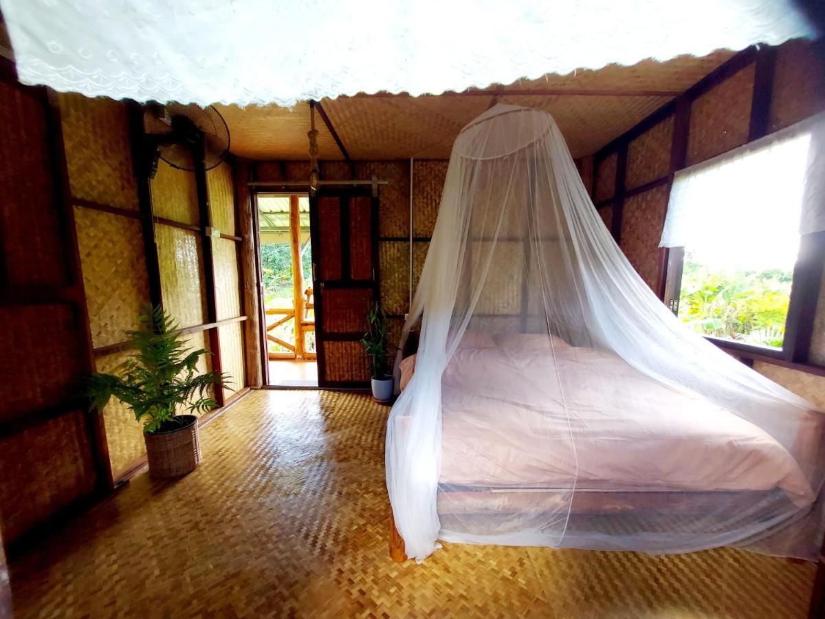 True Nature Chiang Mai - Yoga & Meditation Homestay Retreat Extérieur photo